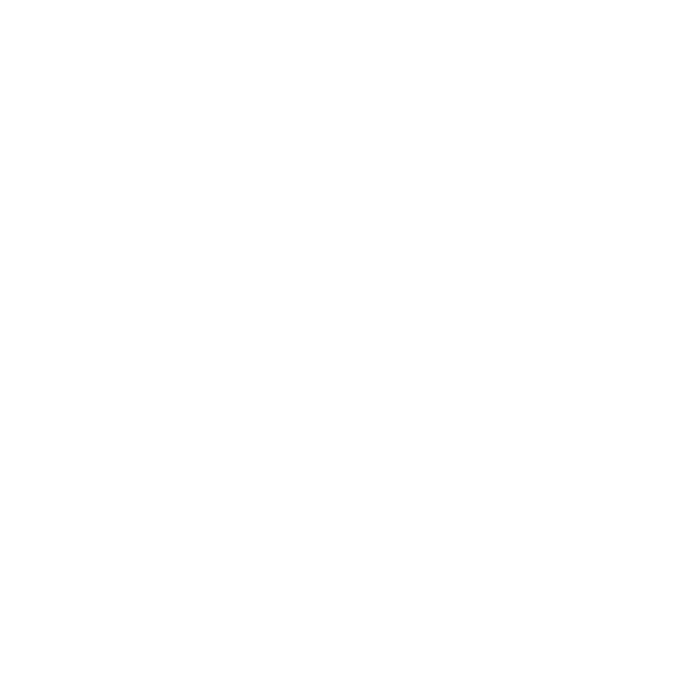 logo fullscreen